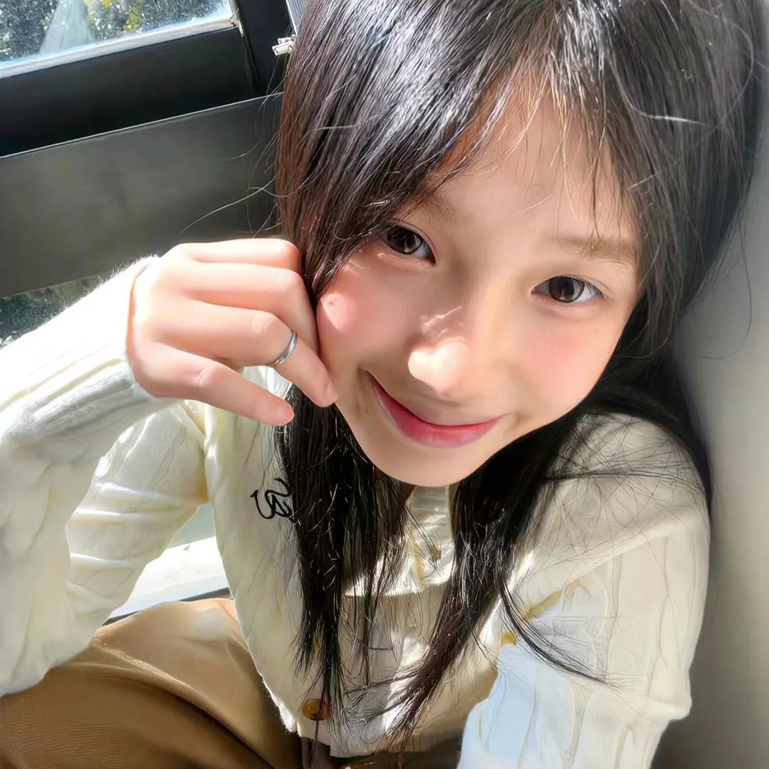 汽车女窃贼